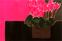 Cathelin Bernard Jacqueline’s pink cyclamen