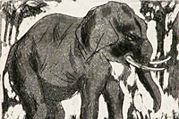 Fujita Tsuguharu (Leonard Foujita) Elephant