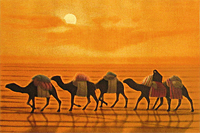 Hirayama Ikuo Going through desert