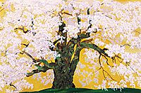 Nakajima Chinami Cherry blossoms of Daigo (1)