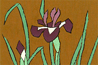 Kumagai Morikazu Iris