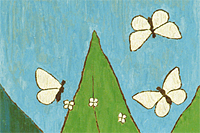 Kumagai Morikazu Hydrangea paniculata