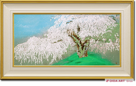 Nakajima Chinami Weeping cherry of Honkyuji temple in sunny day