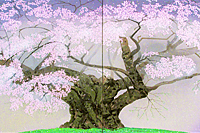 Nakajima Chinami Cherry blossom (Usuzumi Sakura) – folding screen