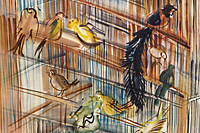 デュフィ 籠の中の鳥たち