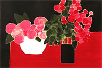 Cathelin Bernard Begonia and hydrangea