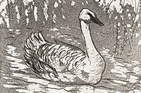 Fujita Tsuguharu (Leonard Foujita) Swan