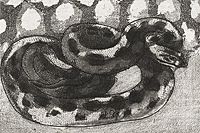 Fujita Tsuguharu (Leonard Foujita) Snake