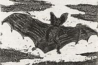 Fujita Tsuguharu (Leonard Foujita) Bat