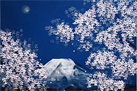 Nakajima Chinami Mt.Fuji in spring cherry blossoms under moonlight