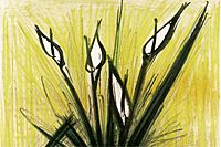 Bernard Buffet Color from plant chart collection