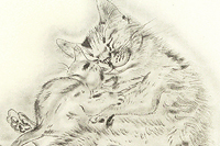 Fujita Tsuguharu (Leonard Foujita) A Book of Cats "Aora"