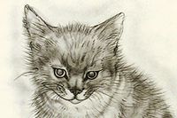 Fujita Tsuguharu (Leonard Foujita) A Book of Cats "Ahinoa"