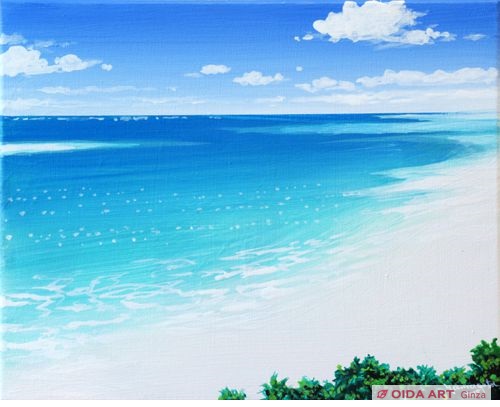 ヒロヤマガタ 久米島はての浜