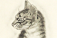 Fujita Tsuguharu (Leonard Foujita) A Book of Cats  “Cleopatra”