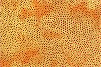 Kusama Yayoi Nets