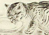 Fujita Tsuguharu (Leonard Foujita) A Book of Cats “Epras”