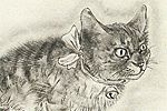 Fujita Tsuguharu (Leonard Foujita) A Book of Cats "Somilis"