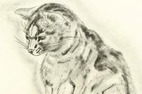 Fujita Tsuguharu (Leonard Foujita) A Book of Cats “Azuba”
