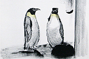 Kazuki Yasuo Animal Series “Penguin”