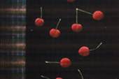 Hamaguchi Yozo 14 cherries