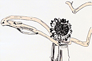 アンディ・ウォーホル FLOWER HAND COLORED 1