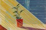 Hockney David SUN