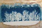 Hoshi Joichi White woods