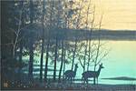 Senju Hiroshi  Scenery of morning in lake side