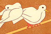 Kumagai Morikazu Pigeon