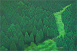 Higashiyama Kaii Green Ravine (new reprint picture)