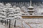 後藤純男 新雪大和