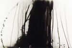 Senju Hiroshi Water fall # 9