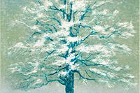 Hoshi Joichi White tree (A)