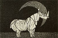 Kayama Matazo Rhinoceros