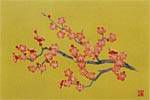 Kayama Matazo Pink blossom