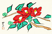 Kumagai Morikazu Camellia