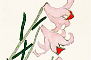 Kumagai Morikazu Bamboo lily