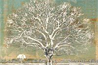 Hoshi Joichi White tree