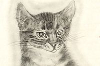 Fujita Tsuguharu (Leonard Foujita) A Book of Cats "Amestris"