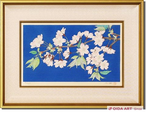 Nakajima Chinami Cherry blossom (Ooshima Sakura)