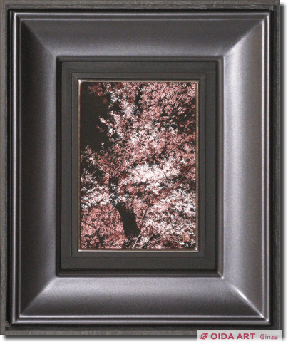 Senju Hiroshi  Cherry blossoms chart