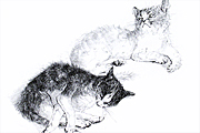 Fujita Tsuguharu (Leonard Foujita) Two cats