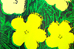 Warhol Andy FLOWERS #72