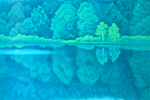 東山魁夷(新復刻画) 緑の湖畔(新復刻画)