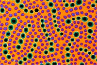 草間彌生 ニュージャーシーの夕陽